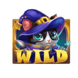 สัญลักษณ์รูปไวด์ ของเกม Magic Kitty