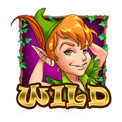 สัญลักษณ์รูปไวด์ ของเกม Pan fairy