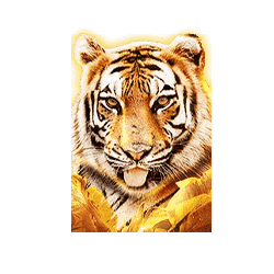 สัญลักษณ์รูปเสือโคร่ง ของเกม Big Cat Rescue Megaways