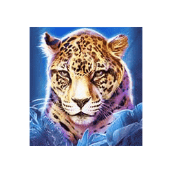 สัญลักษณ์รูปเสือดาว ของเกม Big Cat Rescue Megaways