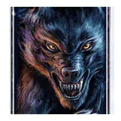 สัญลักษณ์รูป Scatter Symbol ของเกม Transylvania Night of Blood