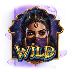 สัญลักษณ์รูปไวด์ ของเกม 10 001 Nights