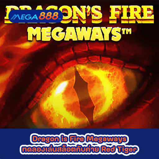 Dragon is Fire Megaways ทดลองเล่นสล็อตกับค่าย Red Tiger