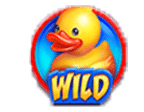 สัญลักษณ์รูปไวด์ ของเกม Rubber Duck HnL