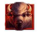 สัญลักษณ์รูปกระทิง ของเกม Wild Buffalo Hold N Link Bonus Buy