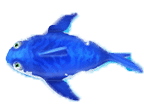สัญลักษณ์รูปฉลาม ของเกม Fishing Kingdom Remastered