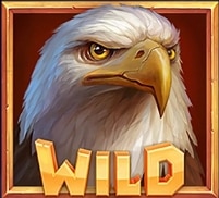 สัญลักษณ์รูปไวด์ ของเกม Frontier Falcon Hold N Link