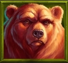 สัญลักษณ์รูปหมี ของเกม Frontier Falcon Hold N Link