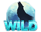 สัญลักษณ์รูปไวด์ ของเกม Wolf Reels Rapid Link