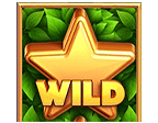 สัญลักษณ์รูปไวด์ ของเกม Money Hive 50 Hold N Link