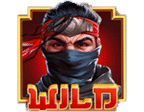 สัญลักษณ์รูปไวด์ ของเกม Katana Klash Hold N Link