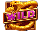 สัญลักษณ์รูปไวด์ ของเกม Desert Riches Hold N Link
