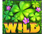 สัญลักษณ์รูปไวด์ ของเกม Tumblin Dublin