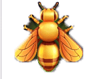สัญลักษณ์รูปผึ้ง ของเกม Money Hive 50 Hold N Link