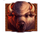สัญลักษณ์รูปกระทิงป่า ของเกม Buffalo Cash Pool