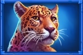สัญลักษณ์รูปชีต้า ของเกม Gorilla Rapid Link