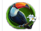 สัญลักษณ์รูปนกเงือก ของเกม Tiki Island Hold N Link